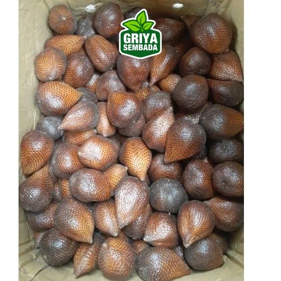 

Indukbuah Buah Salak Pondoh Manis 1 Dus/Keranjang 12kg Griya Sembada