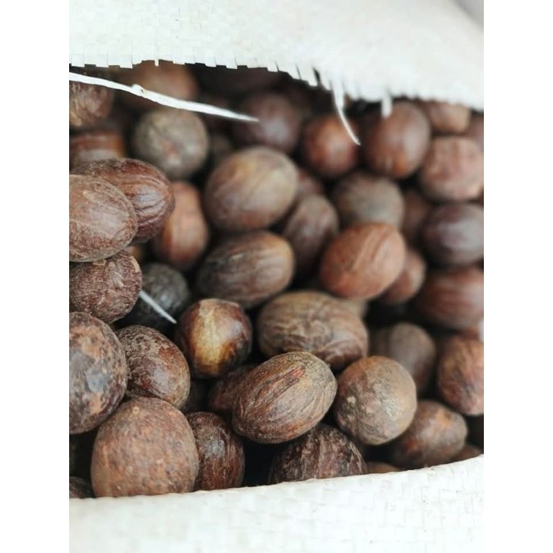 

jual biji pala kering 500gram 100% asli rempah-rempah R. N