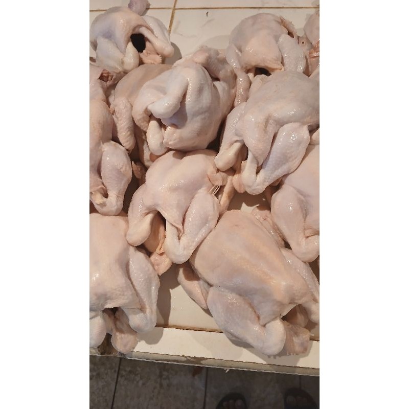 Ayam utuh 1  ekor