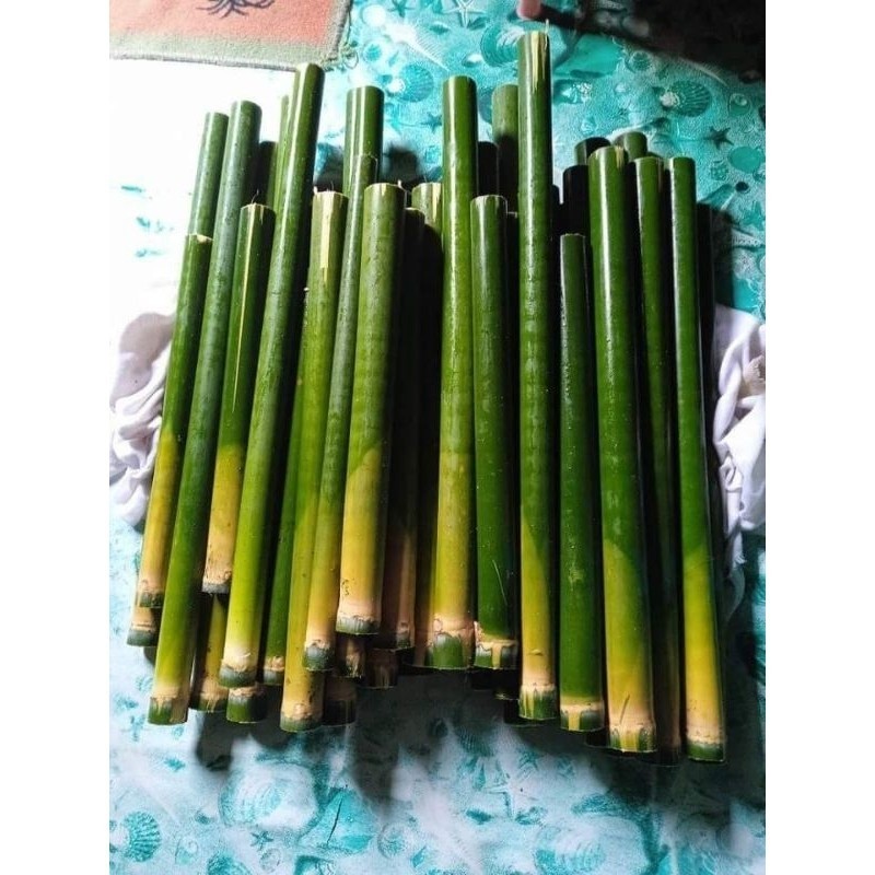 

obor bambu obor pawai obor malam .