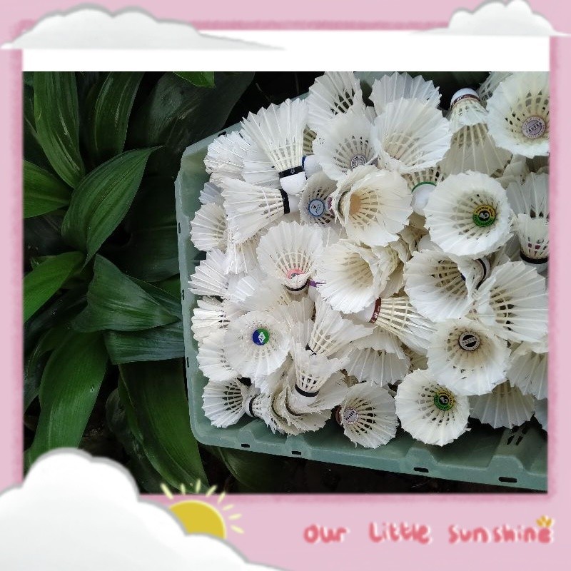 (13pcs) 90% Shuttlecock / Kock Bekas Grade A / Kok Bekas Cakep