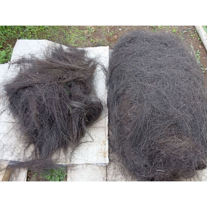 Ijuk aren resapan /ijuk aren filter air/ijuk aren//ijuk septictank/ijuk kakaban/ijuk