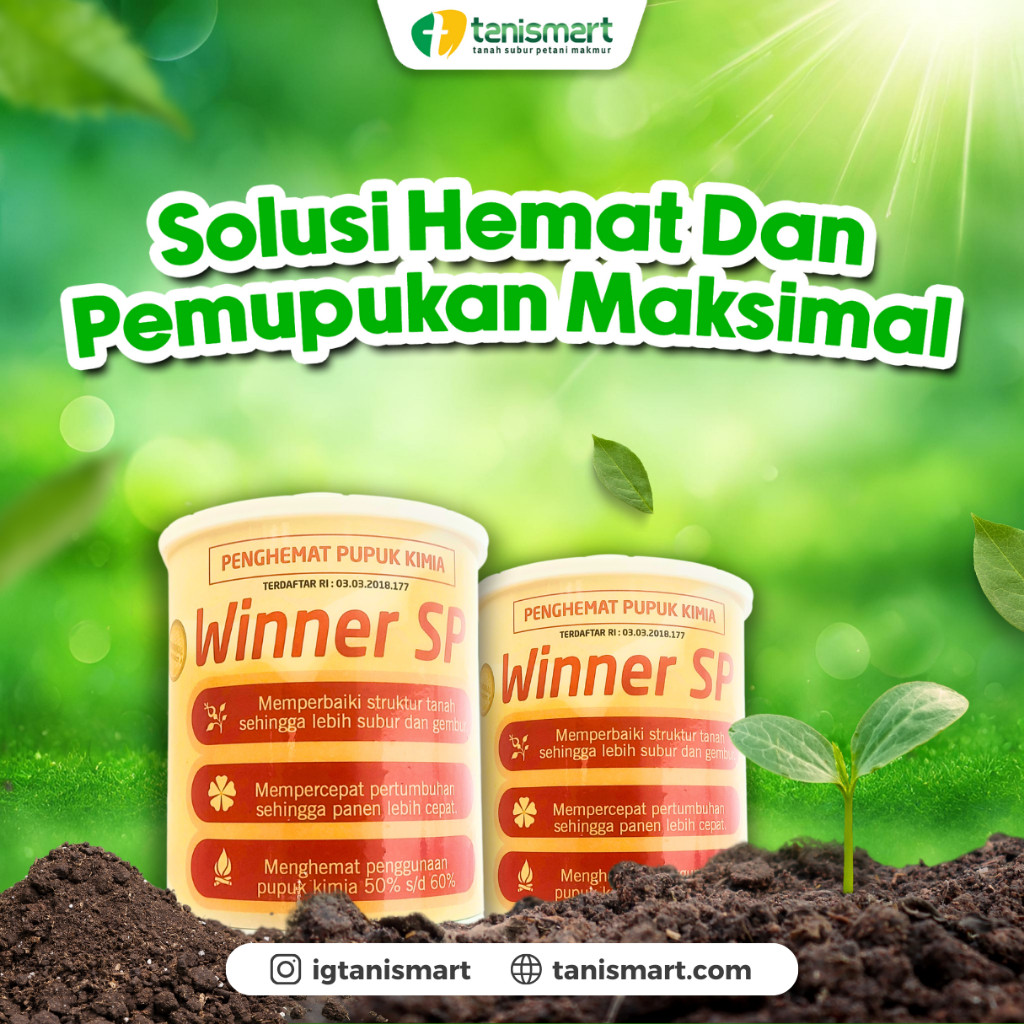 WINNER SP TERBUKTI EFEKTIF MEMPERBAIKI PH TANAH & TERBUKTI DAPAT MENGHEMAT HINGGA 60% PUPUK KIMIA