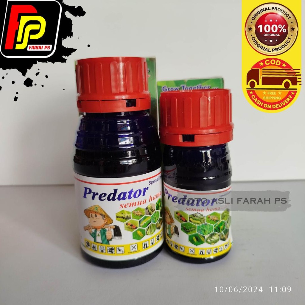 Predator 100 ml Insektisida Toxedown Basmi Ulat Tanaman