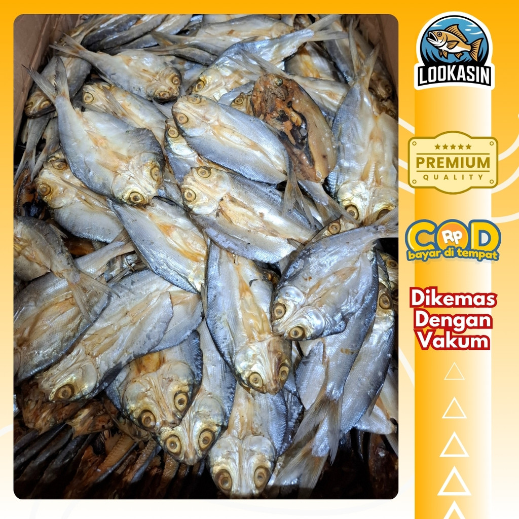 

Ikan Asin Bandeng Fresh Ikan Segar / Seafood Kering Vacum