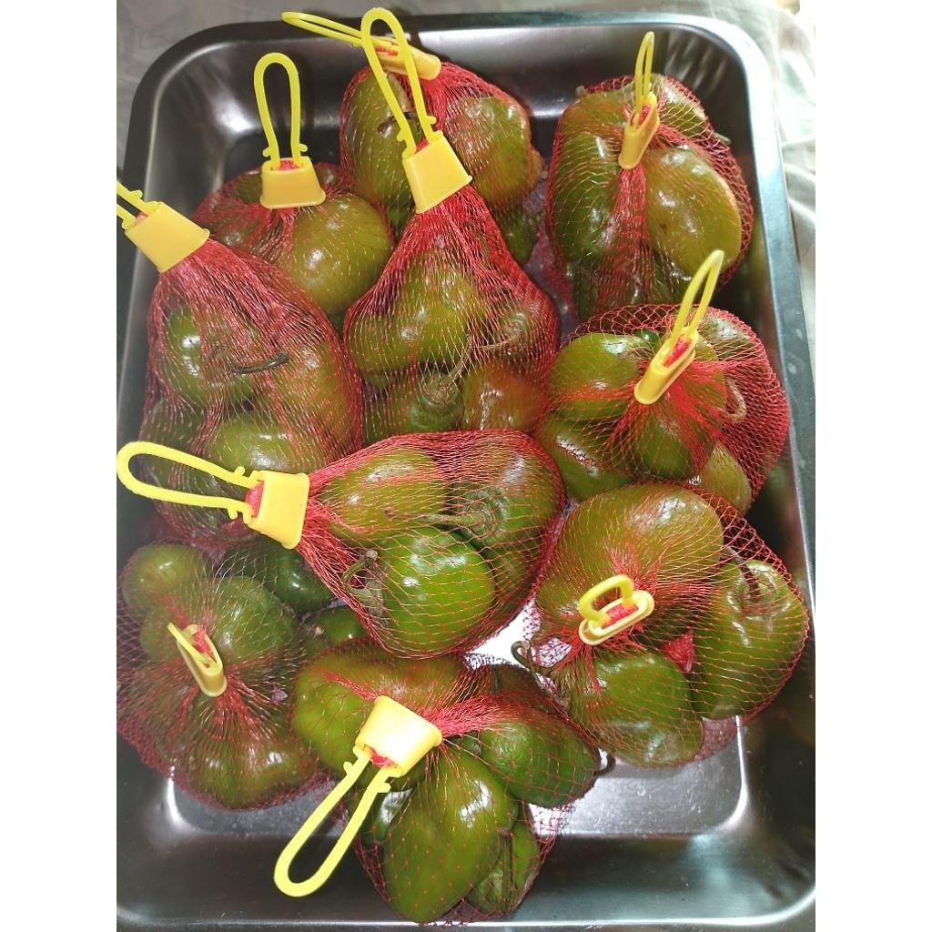 

Diskon Cabe Gendot 100 gram Cabe Bendot Viral