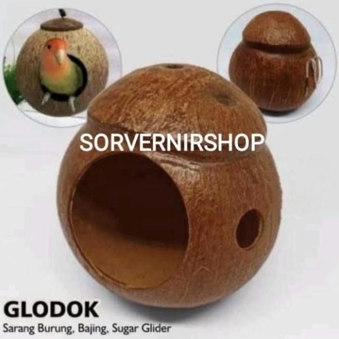 glodok batok kelapa sarang burung lovebird dan sugar glider unik