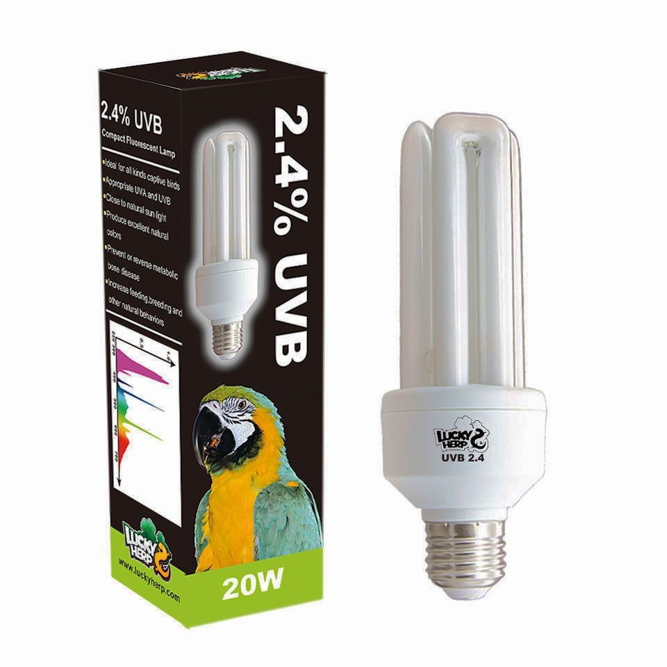 Compact Bird Lamp Fluorescent Lighting Bulb, 2.4% UVB, 20W,Screw Thread
