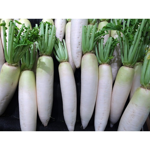 

Lobak Putih Segar Murah Bandung