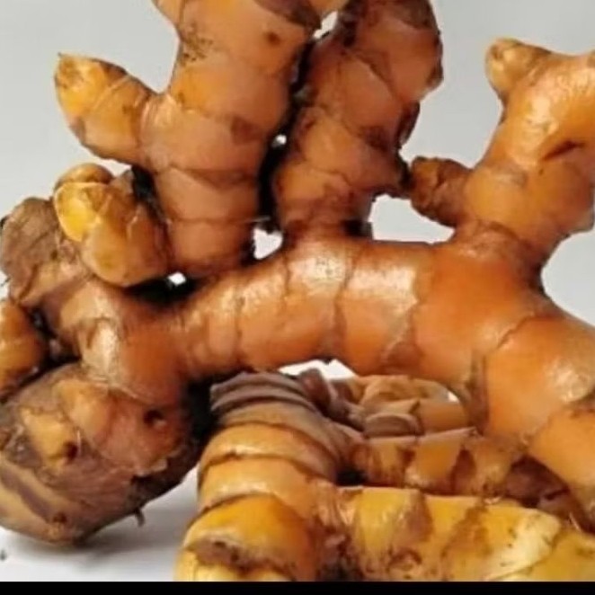 

KUNYIT JUMBO / KUNYIT BERSIH SEGAR 1KG... kunyit masak