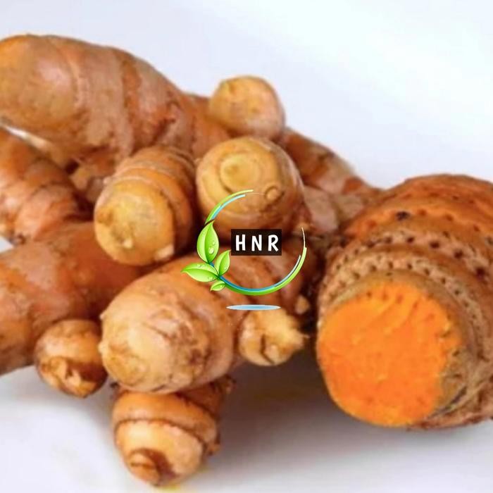 

Rimpang Herbal Temulawak Segar