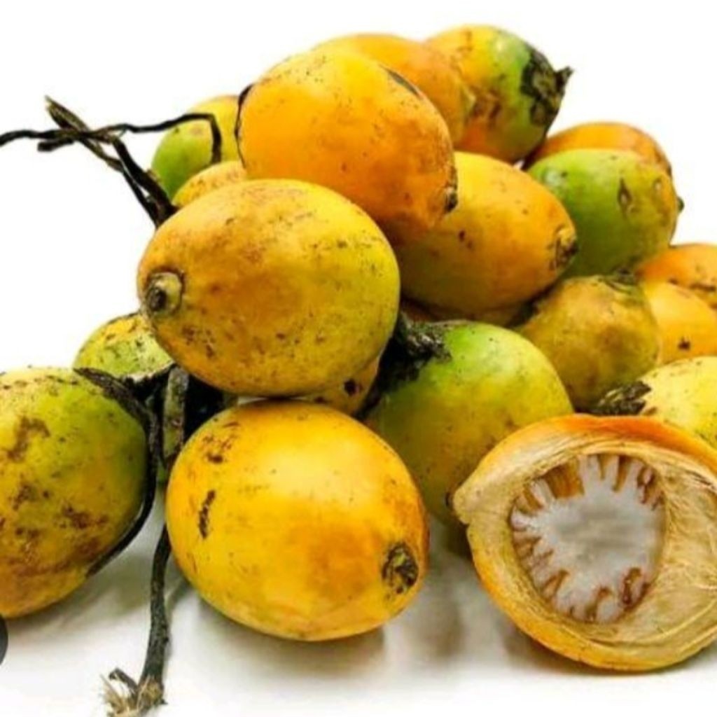 

Buah pinang jambe tua segar utuh 1kg - baru petik