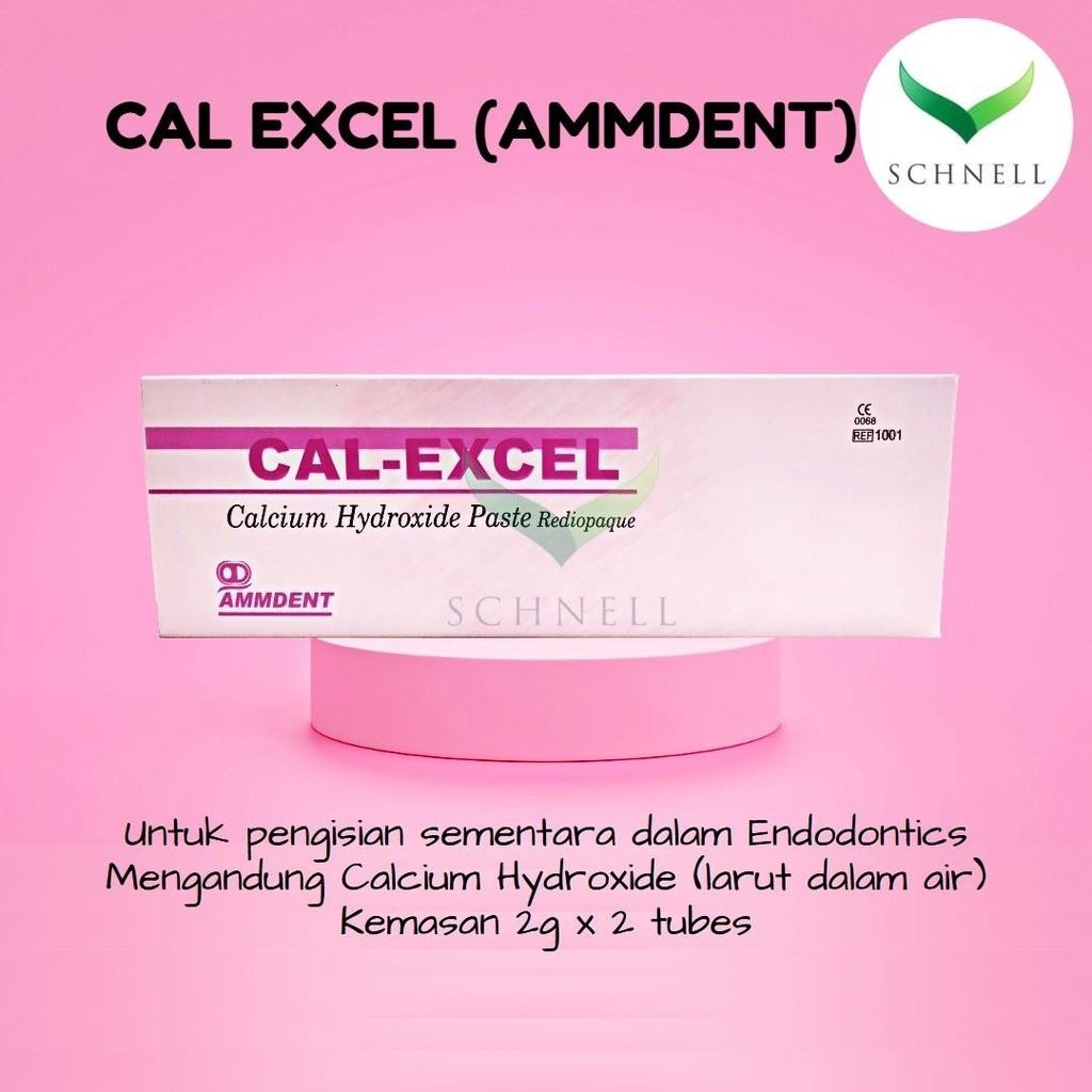 Cal Excel (Ammdent) Calcium Hydroxide Paste