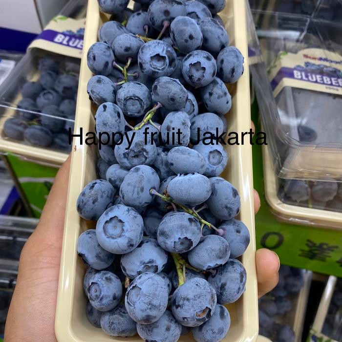 

Promo Promo Blueberry sunmoon super fresh | Buah blueberry jumbo 250 grm