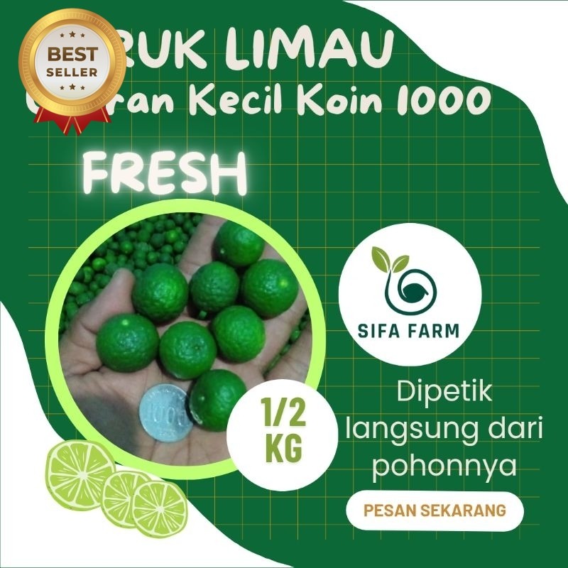 

Sifa Farm Jeruk Limo | Limau ukuran kecil 1/2 Kg Fresh