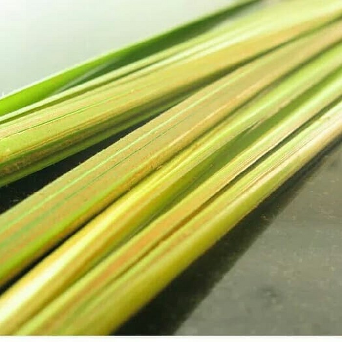 

Daun Kelapa Muda Untuk Cangkang Ketupat Lebaran ⠀⠀⠀⠀⠀⠀