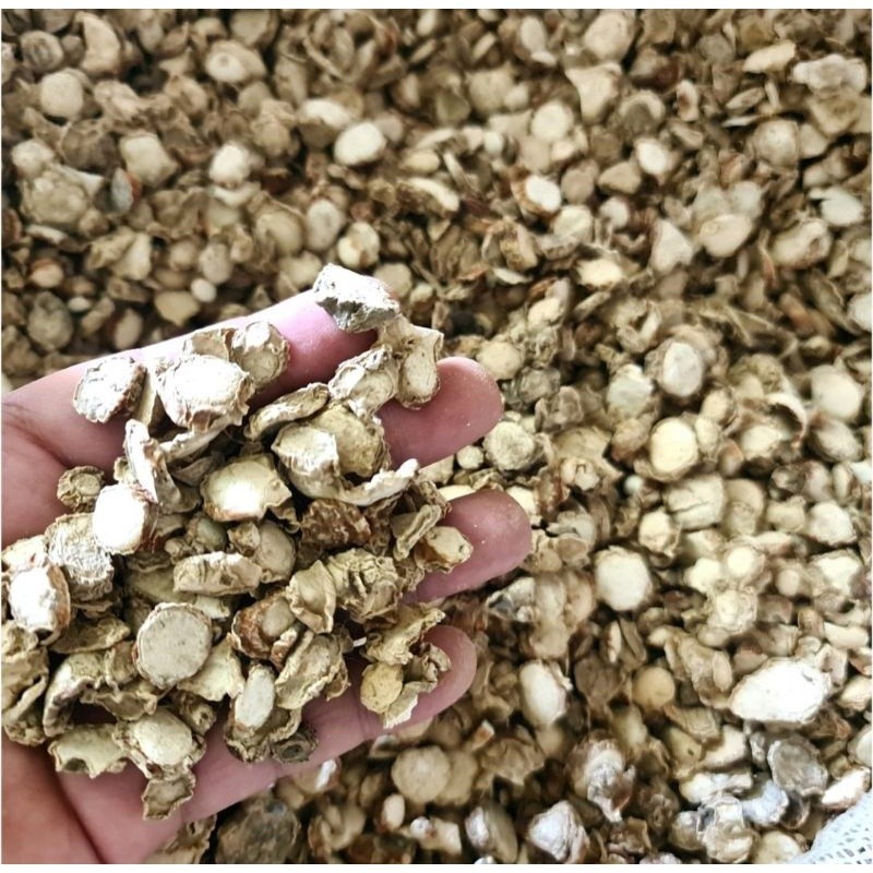 

Kencur Kering 500gr - Kencur Iris Rajang Kering Kualitas Bagus