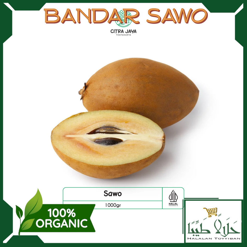 

BANDAR Sawo 1000g - Citra Jaya Yogyakarta