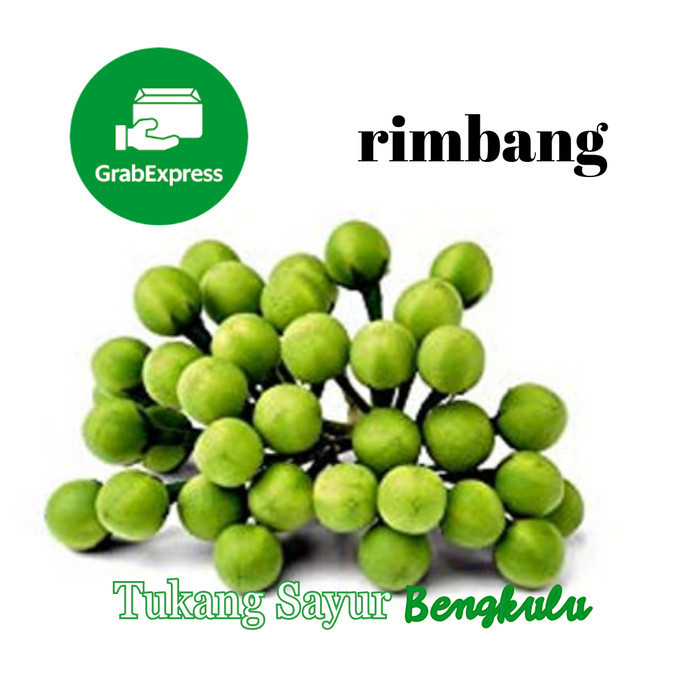 

Rimbang 100gram Grab instan Tukang Sayur Bengkulu