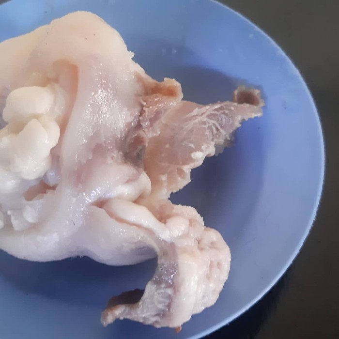 

Tunjang 1 pack isi 5 pcs gede gede/kaki sapi/kikil/tunjang sapi