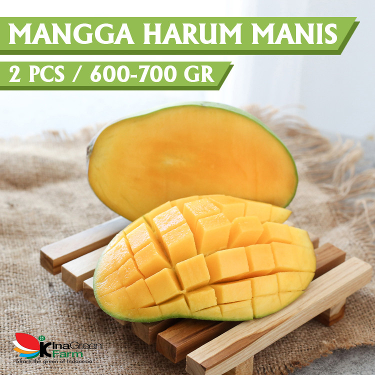

Mangga Harum manis Inagreen Bandung