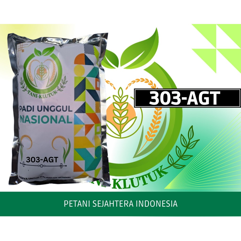 BENIH BIBIT PADI AGT 303/PADI UNGGUL 303 AGT KEMASAN 1KG
