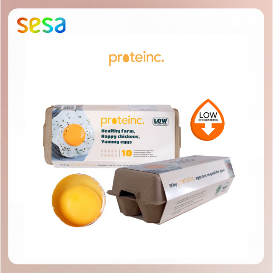 

PROTEINC Premium Eggs 10'S - Telur Sehat