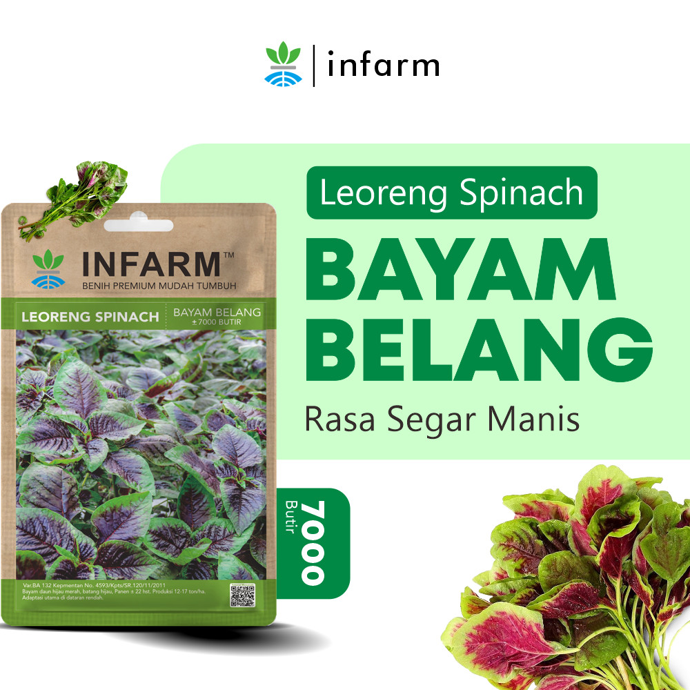 INFARM - Benih Unggul Bibit Sayur Bayam Benih Sayuran Bayam Loreng Bibit Sayur Sayuran Segar Benih S