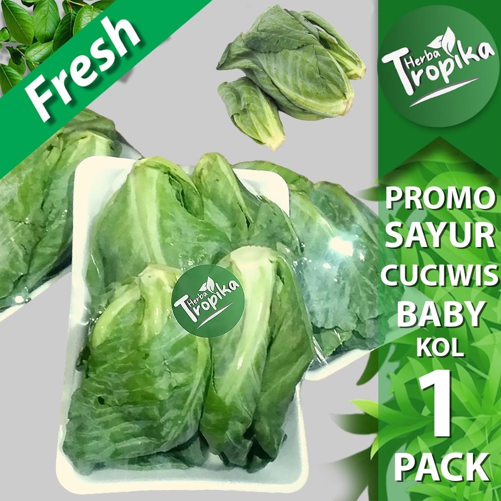 

Promo Paket Sayur Cuciwis Baby Kol Fresh 1 Pack 300 gram Toko Herba tropika