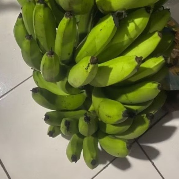 

Buah Pisang Mentah PPR PB Pisang Bangkaulu Fresh