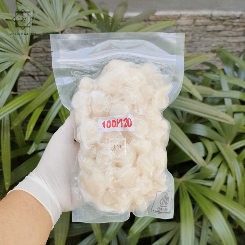 

Scallop Meat / Kerang Simping