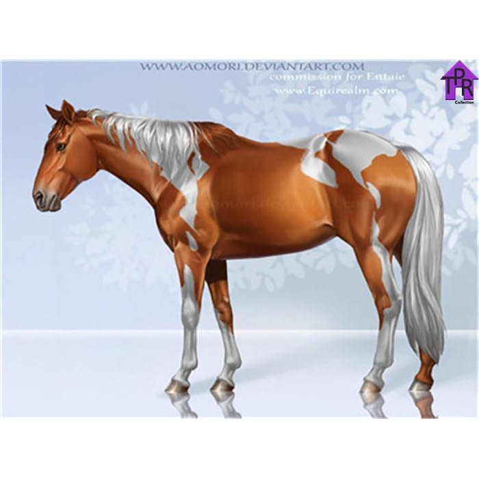 

DIY Set Melukis Paint By Number 40x50cm Y Series Part-5 - 5397