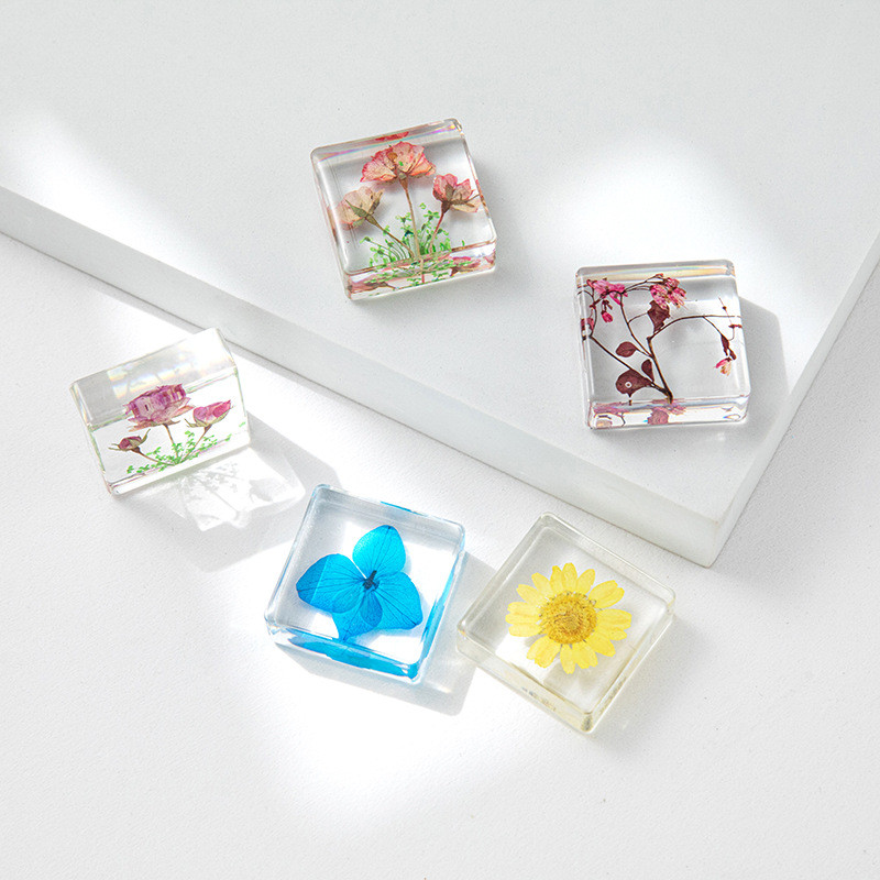 Real Insect & Butterfly Specimens Epoxy Resin Ornaments + Plant Seed Specimens & Acrylic Displays 29