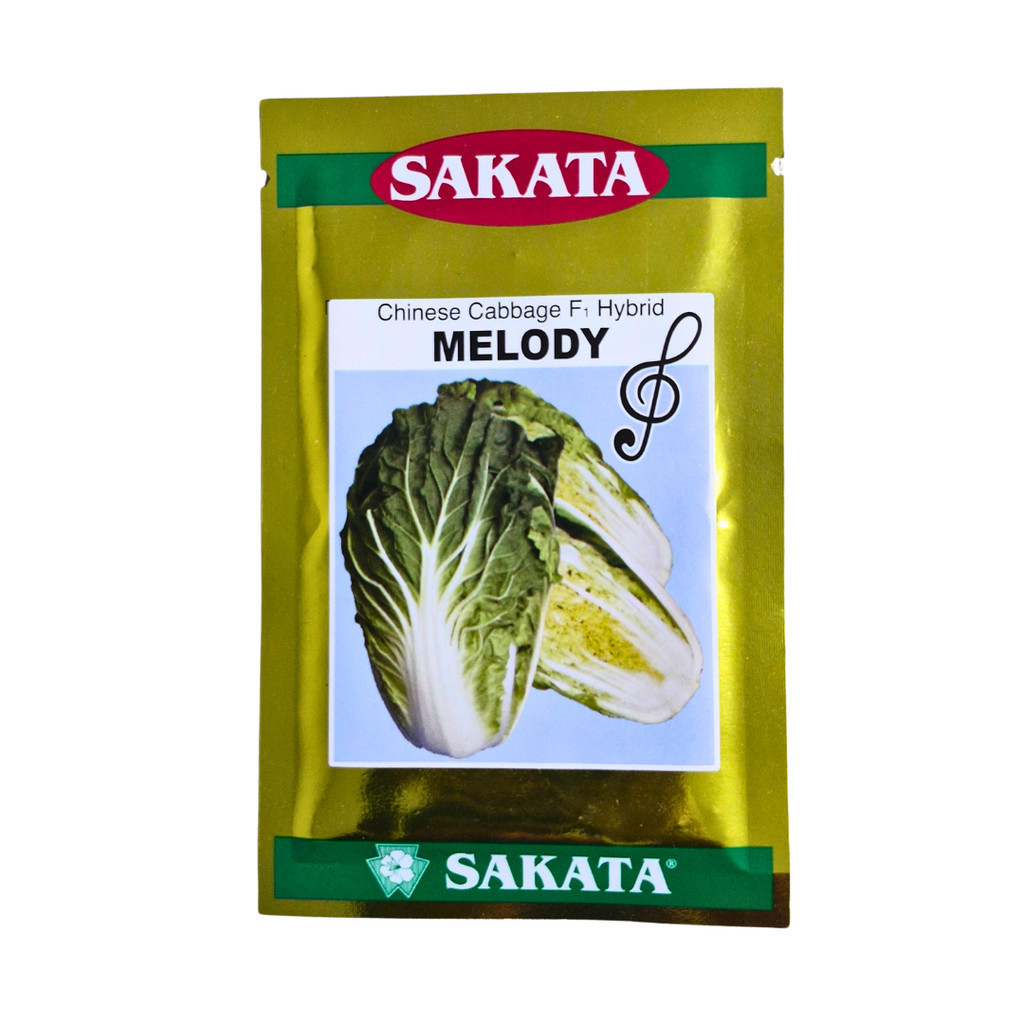 Benih Sawi Putih Melody F1 10gr Original Sakata Cocok Cuaca Panas