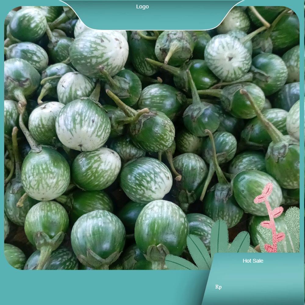 

terong lalap ijo segar manis 500gram