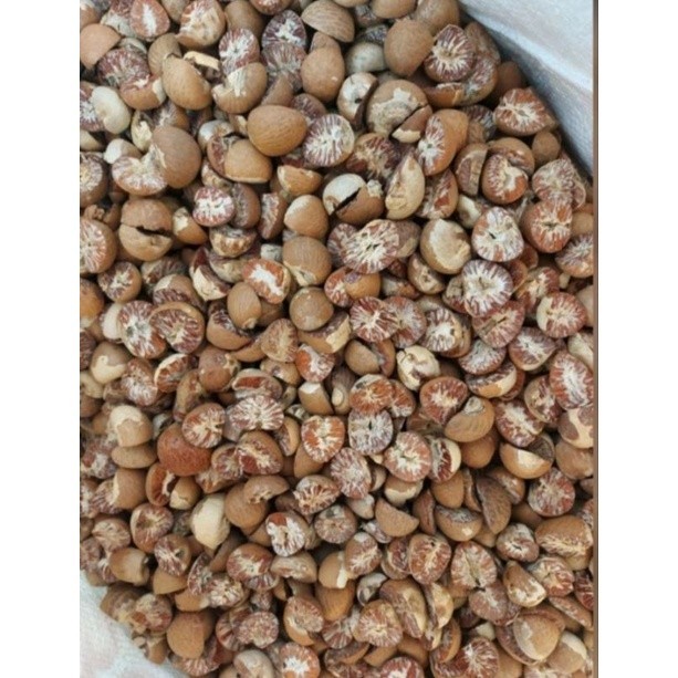 

Pinang Kering 500gr & 1kg kualitas dijamin original