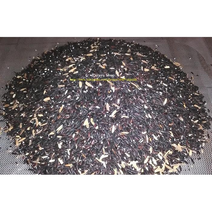 

Promo Beras Hitam Lokal MG1-Sehat 1 Kg
