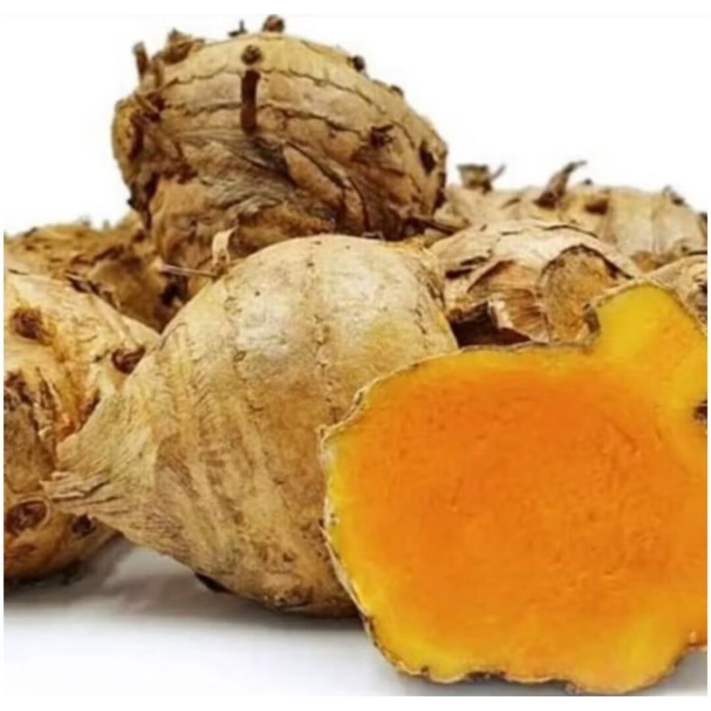 

TEMULAWAK BASAH SEGAR 1kg KUALITAS SUPER