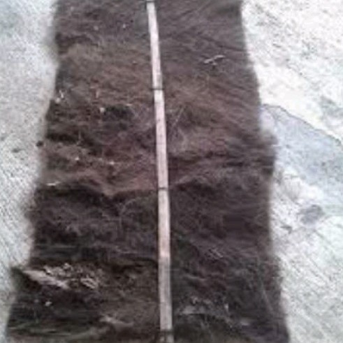 

Ready stok New ijuk kakaban media ikan untuk bertelur telor panjang 1m