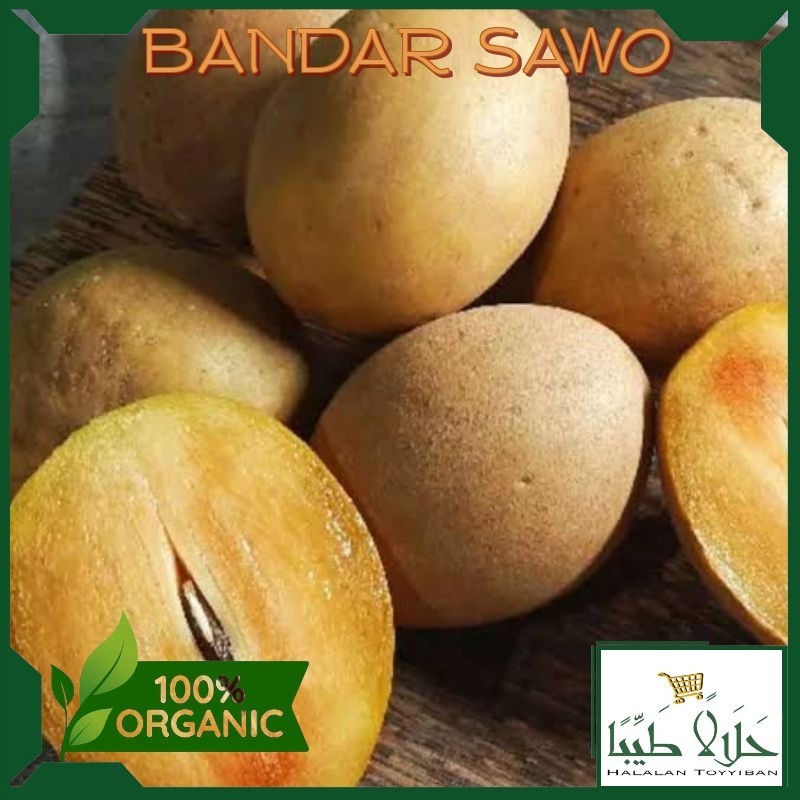 

BANDAR Sawo Manis Segar 1 KG Fresh Lokal Mantap Premium