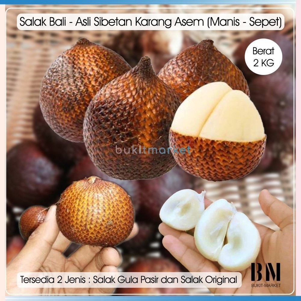 

Salak Buah Bali Gula Pasir Asam Manis Madu Pondoh Pondok Pondo Kering Asli Sibetan Karangasem Jogja Sidempuan Merah Medan Condet Sepet Gading Hutan Keranjang Bibit Biji Bubuk Candil Kualitas Super Kelas 1 Size Oleh Oleh2 Khas Kripik Keripik 1 kg 1kg