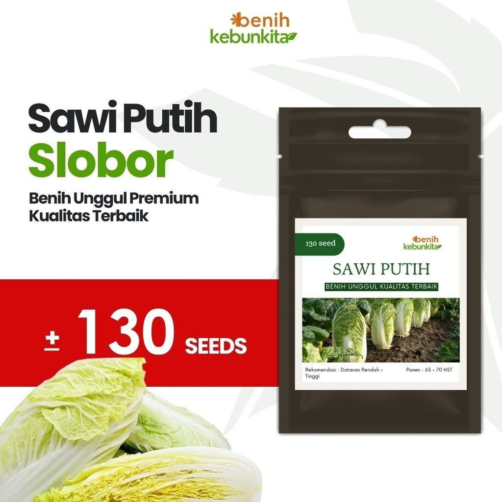 25 Benih Sawi Putih Eikun Takii Seed Dataran Rendah Sayur Slobor Unggul Bibit Tanaman Sayuran Seribu