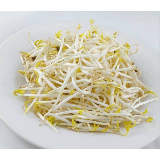 

Toge Kecambah / Berat 500 gram