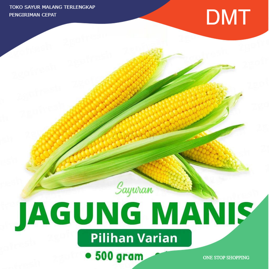 

Jagung Manis/ Sweet Corn Fresh - Sayur Sayuran