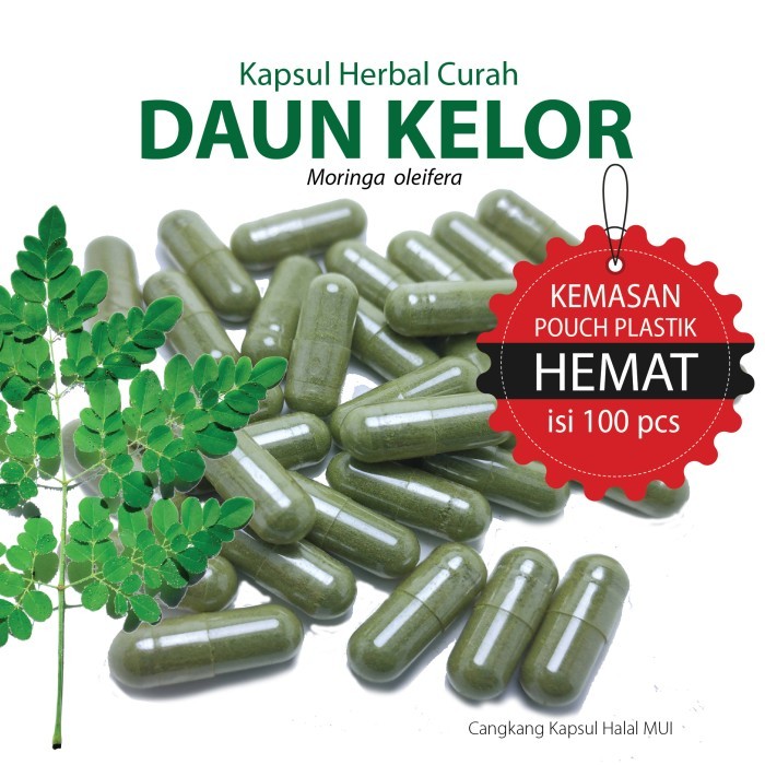 

DAUN KELOR Kapsul Herbal Alami Murni Kemasan Hemat – Isi 100