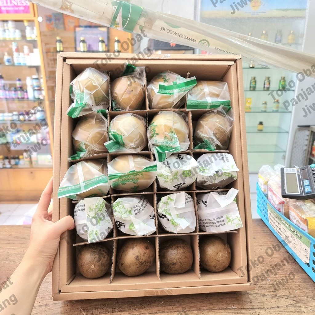 

Buah Lo Han Guo - Buah Lo Gan Kuo - Teh Lo Han Kuo - Panas Dalam - Menurunkan Diabet - ParuParu