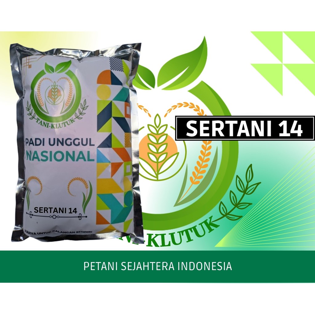 Benih Padi Unggul MSP Sertani 14 Bibit 1 kg ORIGINAL PRODUK