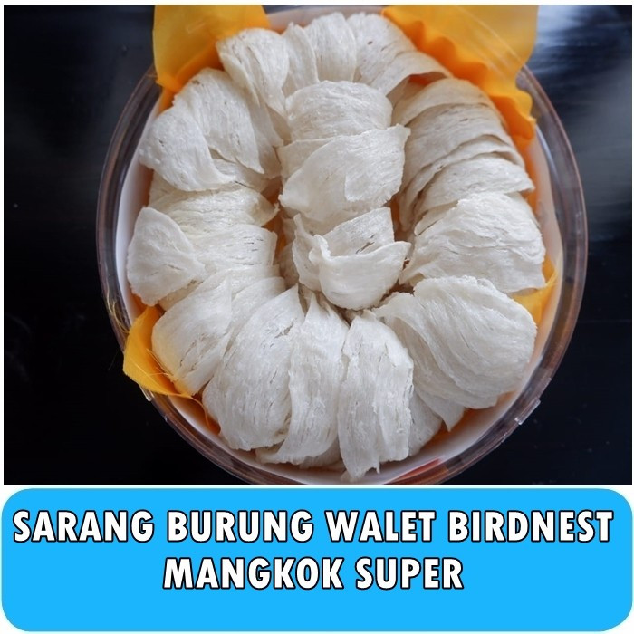 

Sarang Burung Walet Bersih Birdnest Mangkok Besar Premium Kualitas Export Natural Asli Yenwo Harga Per Gram