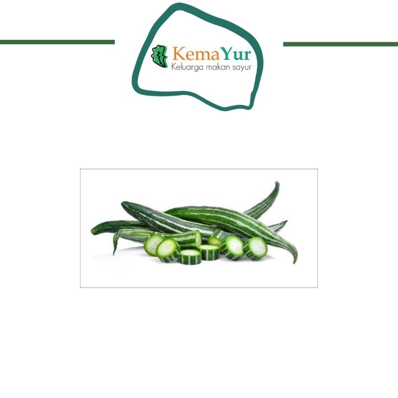 

TIMUN KRAI GROSIR 1KG