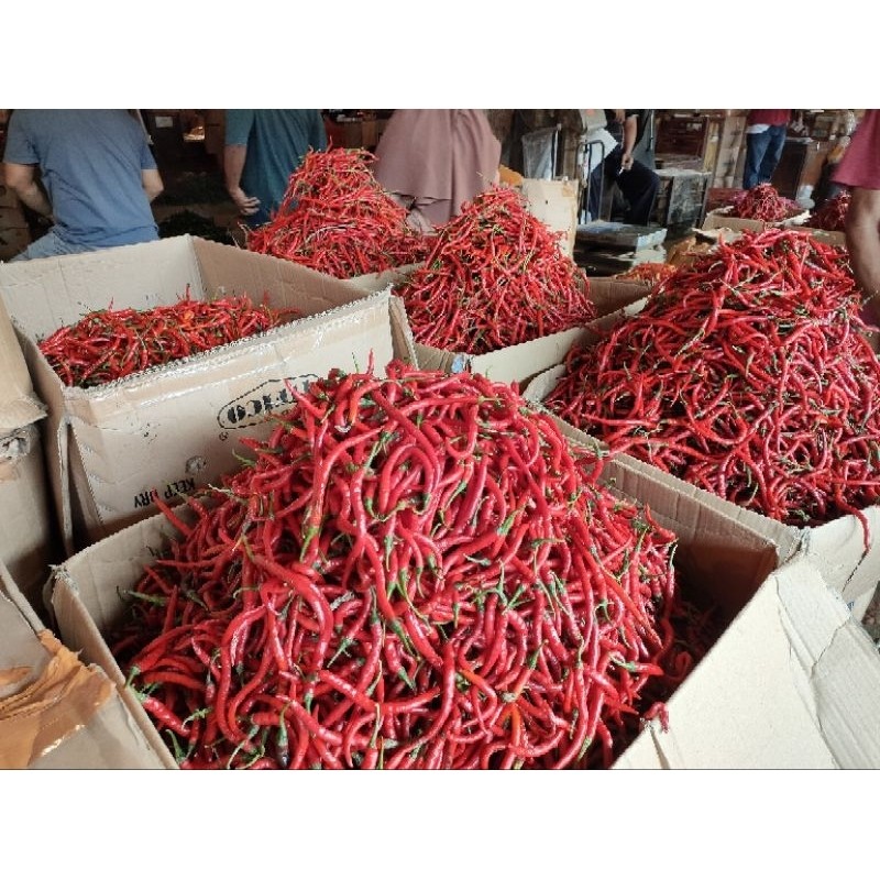 

Paket Cabe / Cabai KERITING MERAH per KG